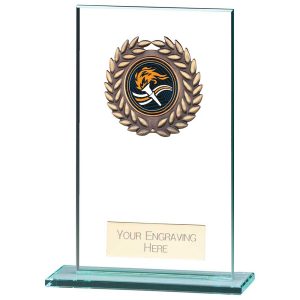 Warrior Glass Multisport Award Series
