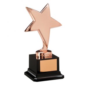 Budget Mini Star Trophy Award Archery Trophies 