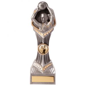 Falcon Netball Player Award Range