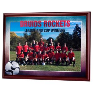 Custom Colour Printed Plaques (6 sizes)