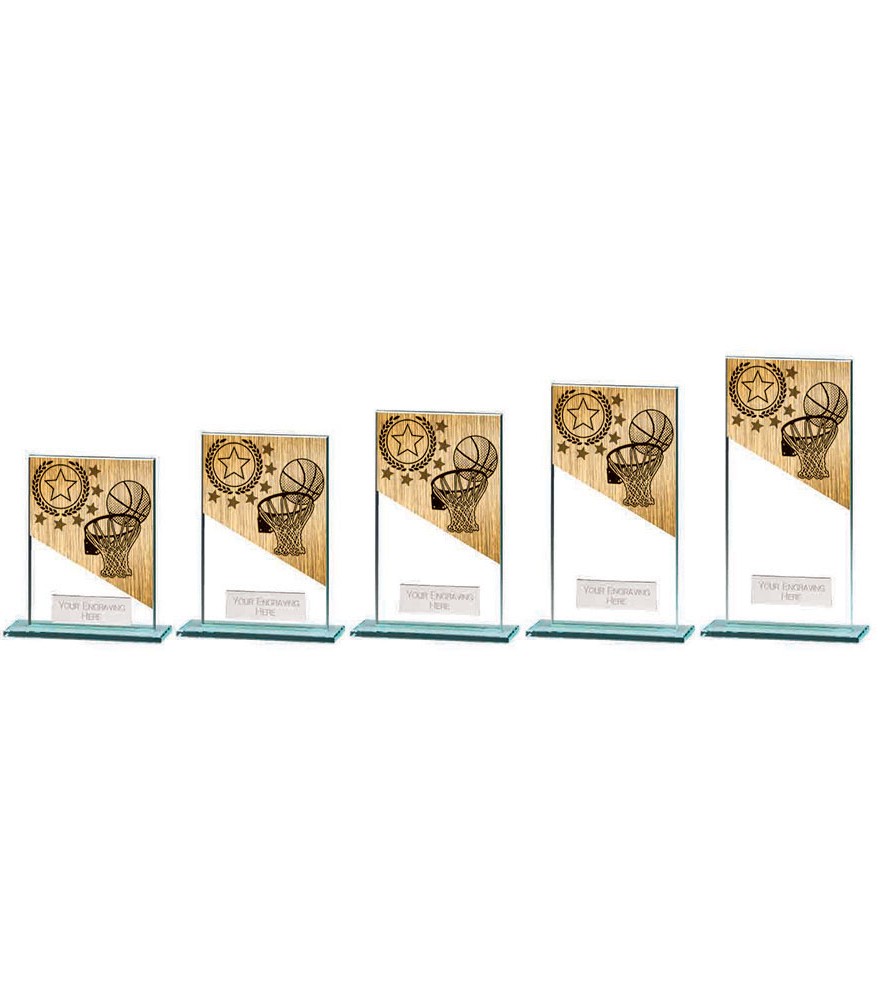 Mustang Basketball Award Range - Image 2