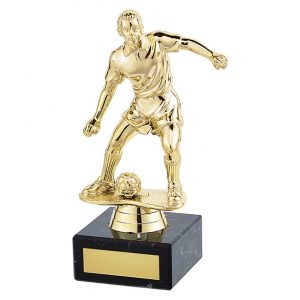 Dominion Male Football Award