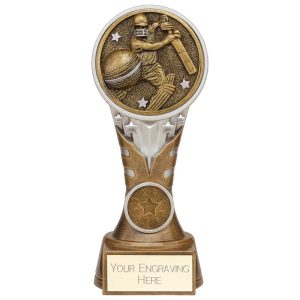 Ikon Tower Cricket Batsman Award
