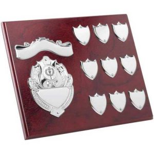 Rectangular Annual Plaque 8"x10"