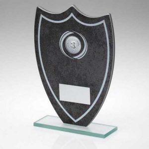 Fortress Multi Use Glass Awards