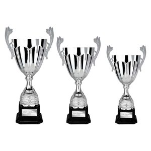 Spartan Super Cup Series