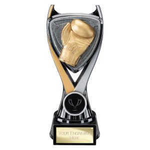 Wolverine Tower Boxing Award Range