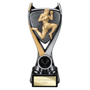 Wolverine Tower MMA Award Range