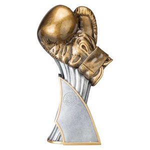 Total KO Boxing Award Range