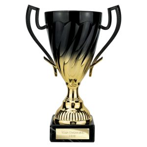 Intrepid Multi Use Cup Award -Black & Gold