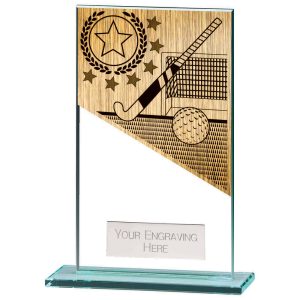 Mustang Hockey Award Range