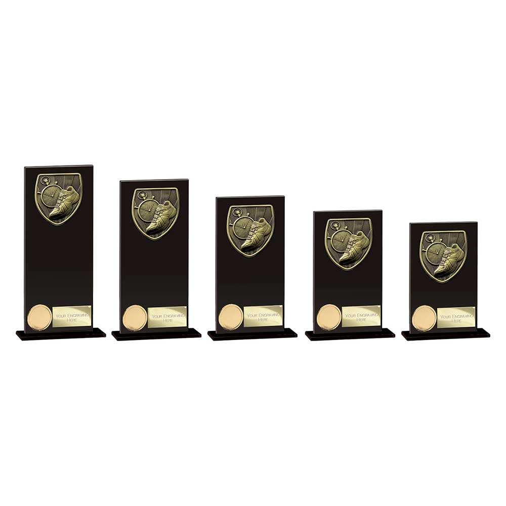 Cobra Hero Running Glass Award Range - Image 2