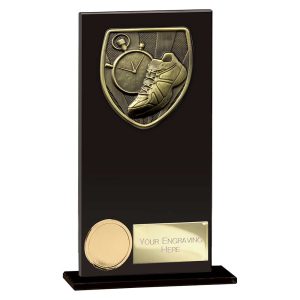 Cobra Hero Running Glass Award Range