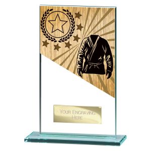 Mustang Martials Arts Award Range