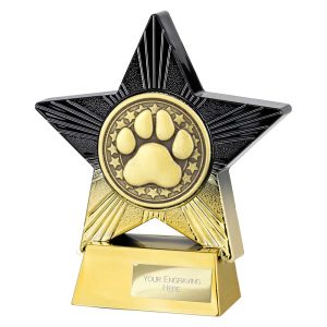 Superstar Dog Agility Award Range