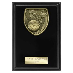 Cobra Plaque Black Netball Award Range
