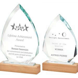 Spear Crystal & Wood Award Series
