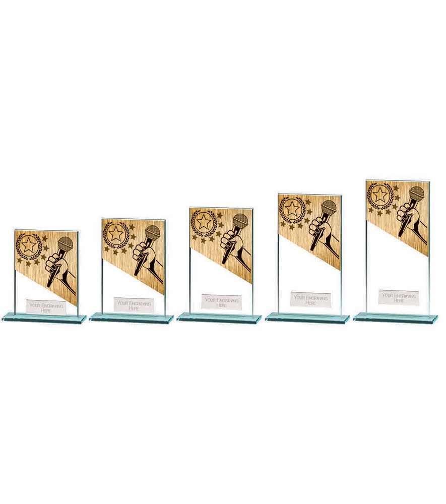 Mustang Karaoke Award Range - Image 2