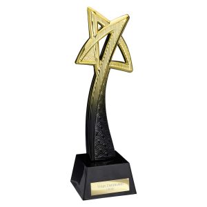 Star Maker Award