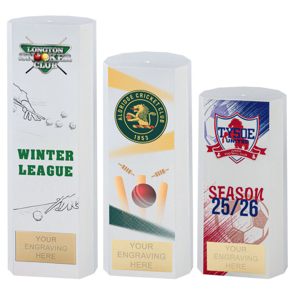 Causeway Awards Series with colour Print