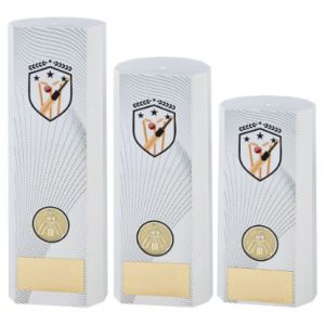 Causeway Cricket Awards - White