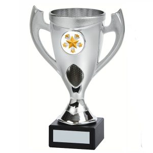 Accolade Cup Award Series