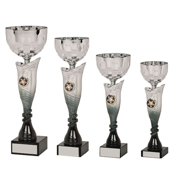 Montana Multi Use Award Series - Silver