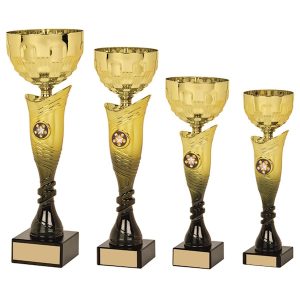 Montana Multi Use Awards Series - Gold