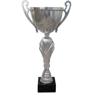 Cranbrook Multi Use Cup Series