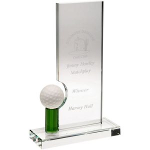 Bellingham Hole in One Awards