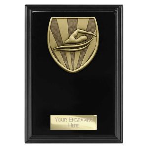 Cobra Plaque Swimming Award Range