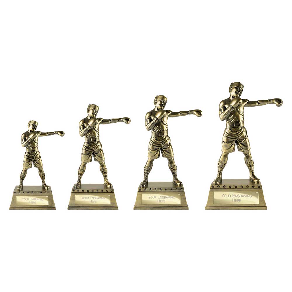 Classic Boxing Award Series - Image 2