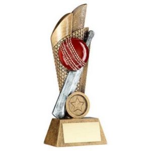The Ashes Series