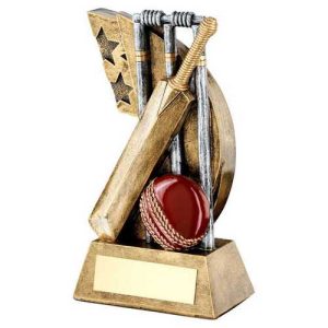 Yorker Cricket Series