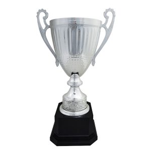 Spring Chrome Cup Series