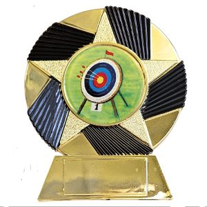 Spiral Star Multi Use Award