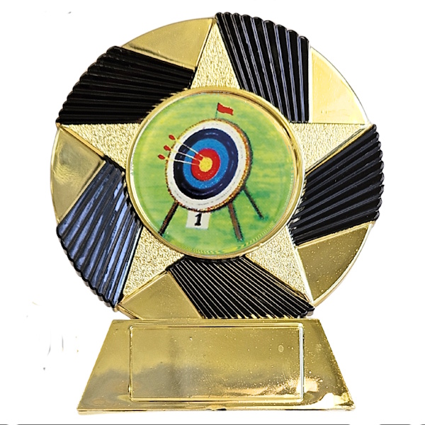 Spiral Star Multi Use Award