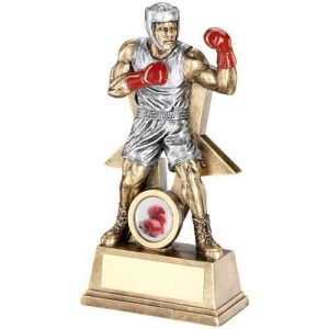 Gold Star Boxing Awards