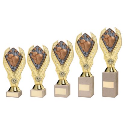 Star Diamond Boxing Range - Image 2