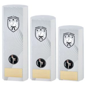 Causeway Martial Arts Award - White