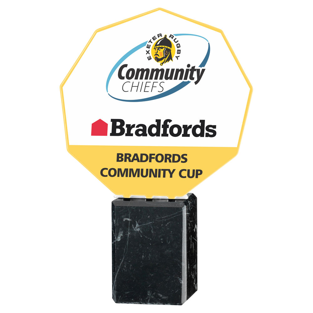 Nonagon Custom Print Award - Image 2