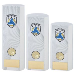 Causeway Netball Awards