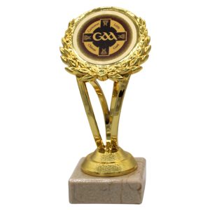 Tara GAA Series