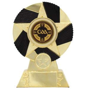 Wicklow GAA Award Series