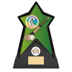 Starforce Camogie Award Series