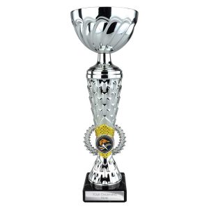 Energy Multi Use Cup Series - Gold