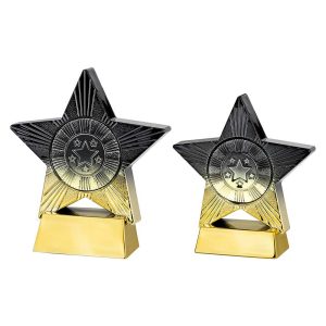 Superstar Multi Use Awards - Gold